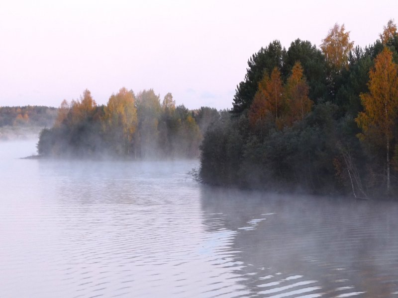 Река Шексна Вологодская область