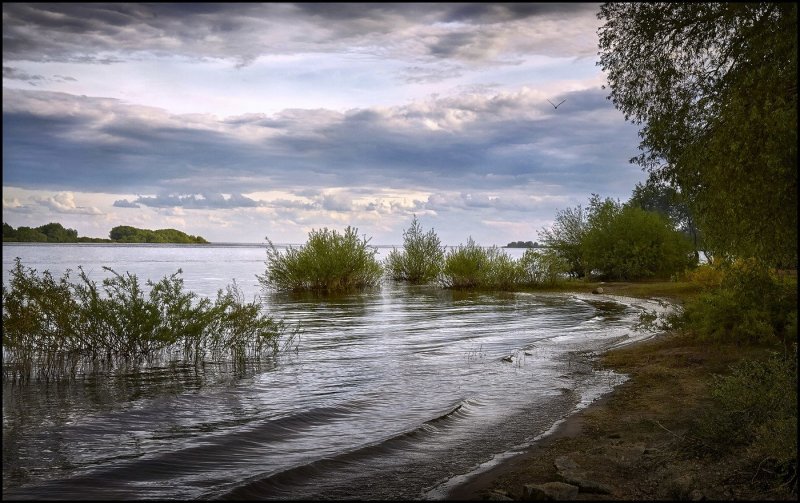 Река Волхов и озеро Ильмень Великий Новгород