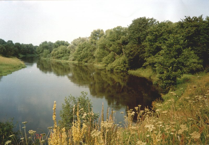 Река Истра Тульской области