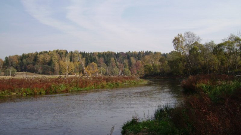 Река Руза Горбово фото