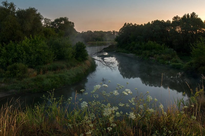 Река ворона Борисоглебск