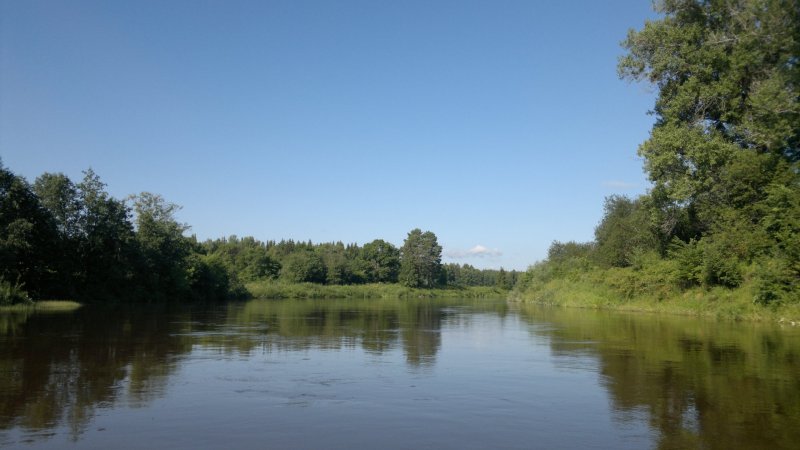 Река Чепца Кирзавод