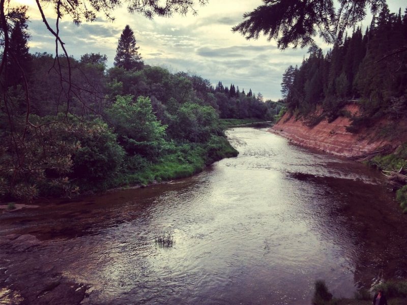 Река Чепца в Удмуртии фото