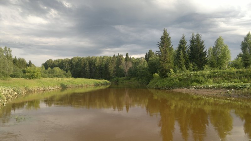 Река Чепца Кировская