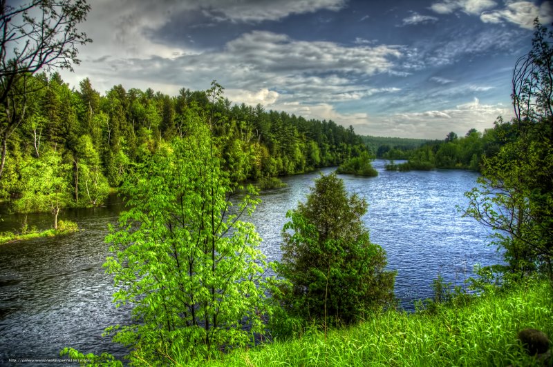 Природа лес река