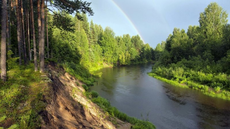 Река Обнора Вологодская область Грязовецкий район