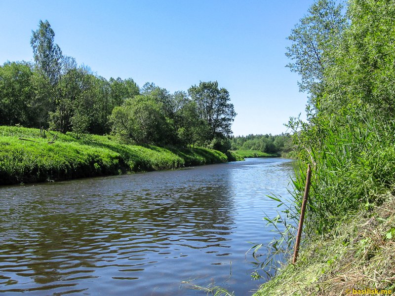 Река Дубна Московская область