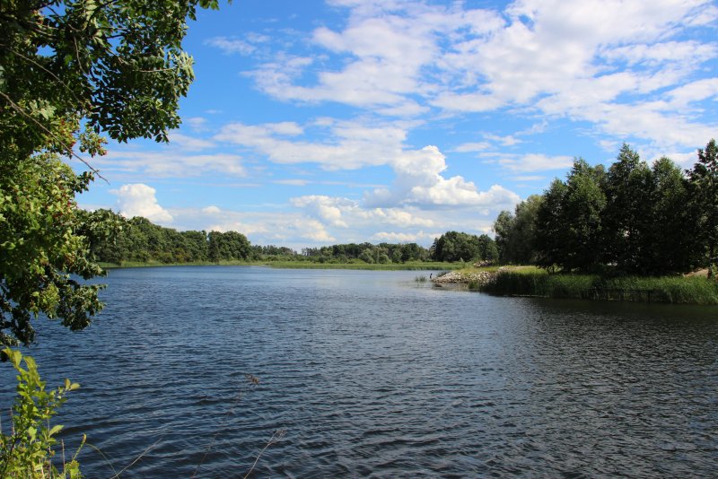 Река Воронеж Липецкая область