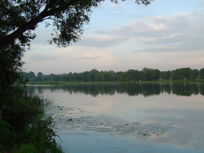 Река Воронеж в Липецке
