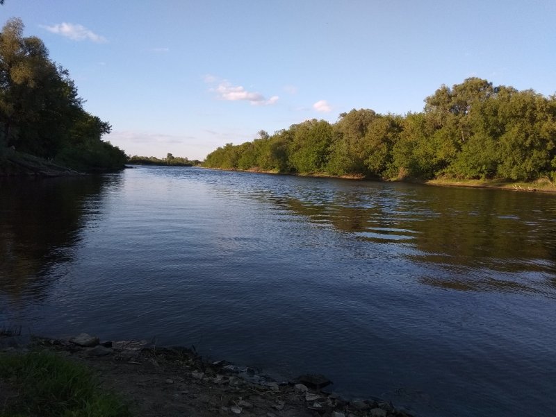 Река Сура Ульяновская область