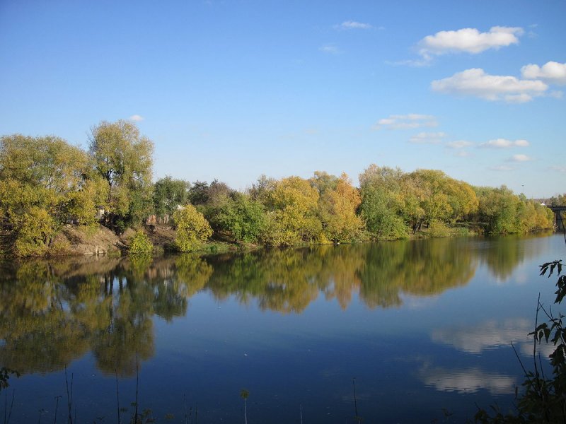Река Сура в Пензенской области