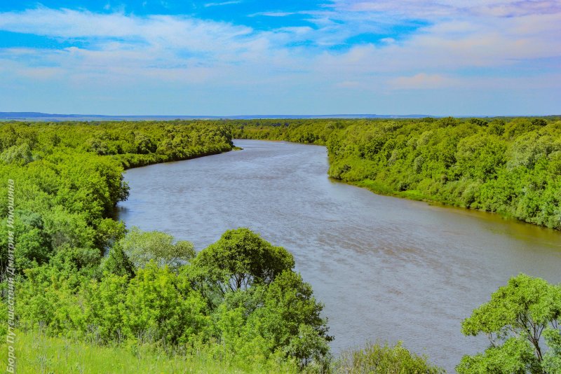 Река Сура в Пензенской области