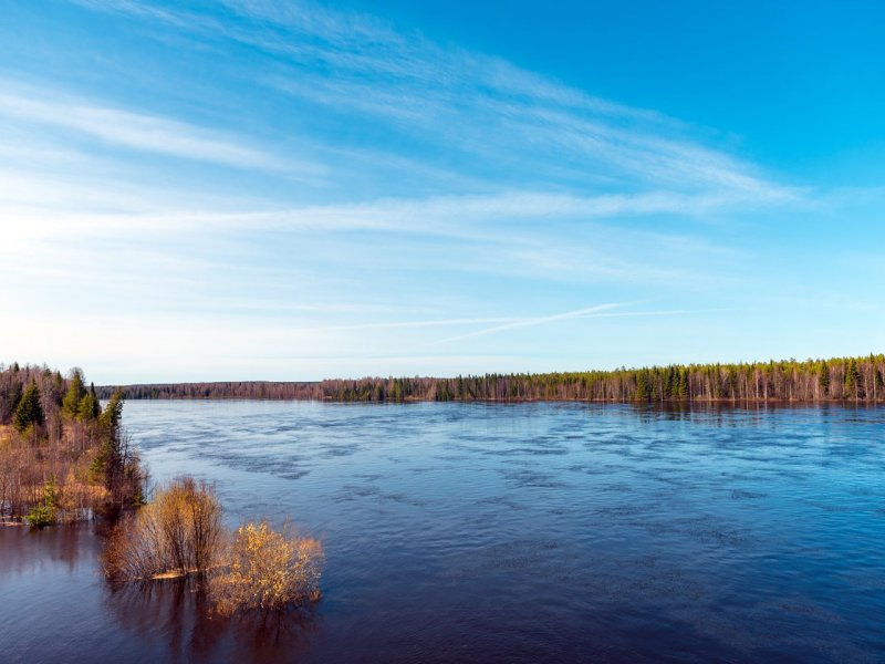 Берег реки Печора