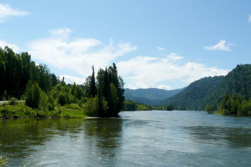 Река Бия Алтай