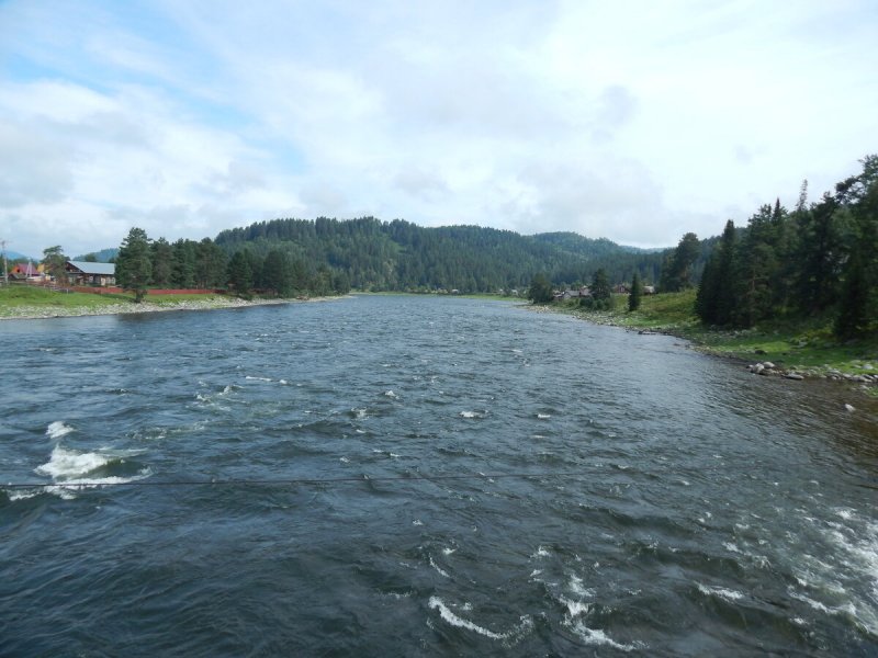 Притоки реки Бия