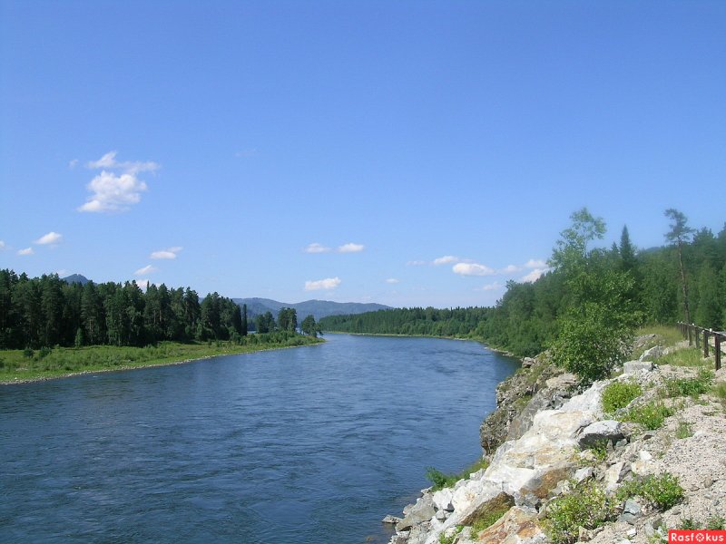 Река Бия сплав