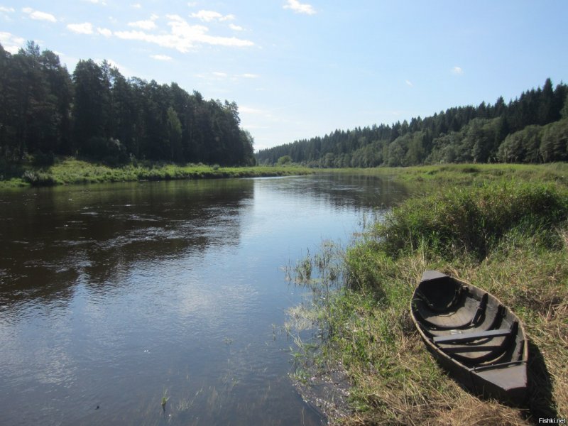 Река Тверца в Черногубово