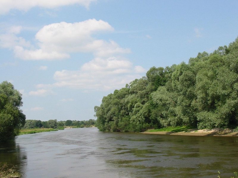 Река Западный Буг в Беларуси