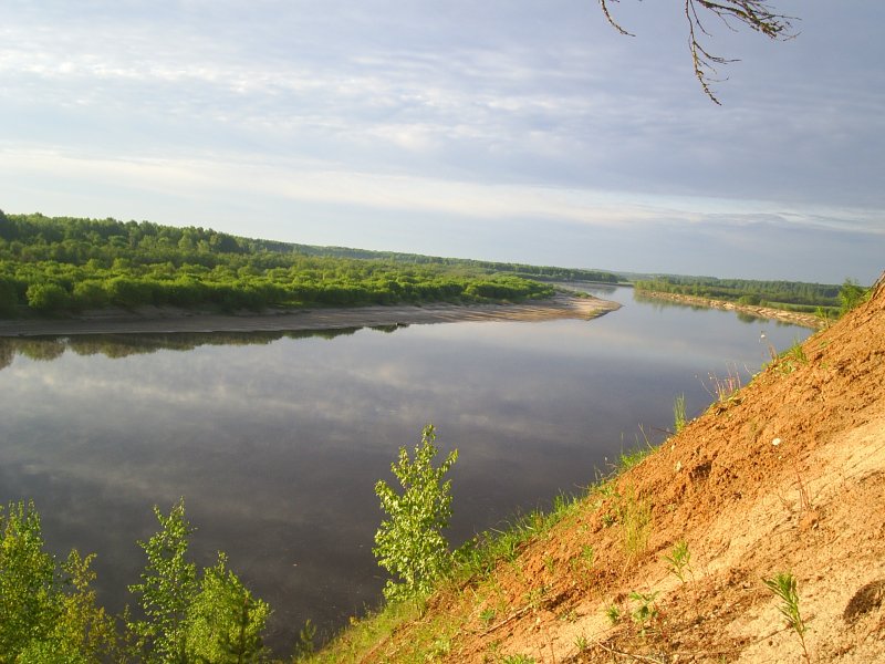 Река Ветлуга Шарьинский район