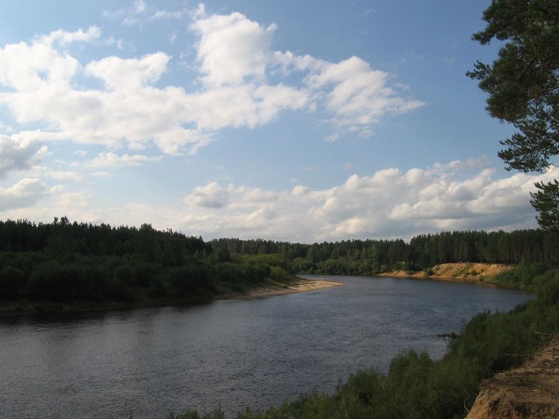 Река Ветлуга Костромская
