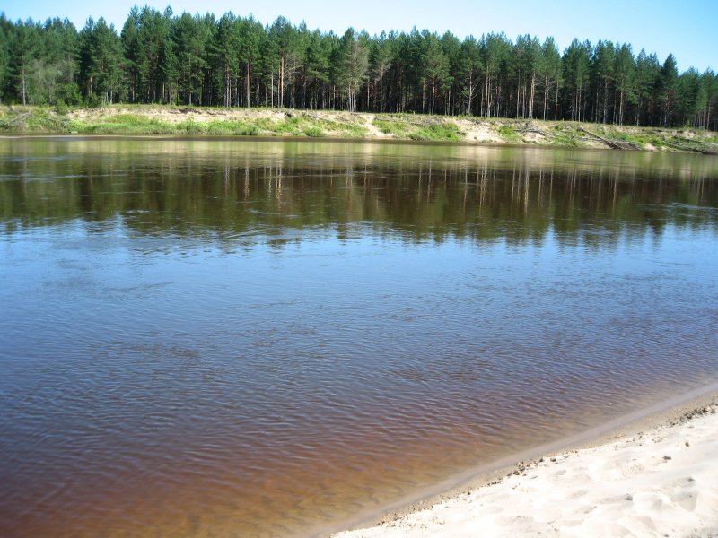 Река Ветлуга Нижегородская