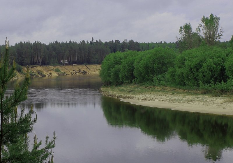 Река Ветлуга Нижегородская область Воскресенский район