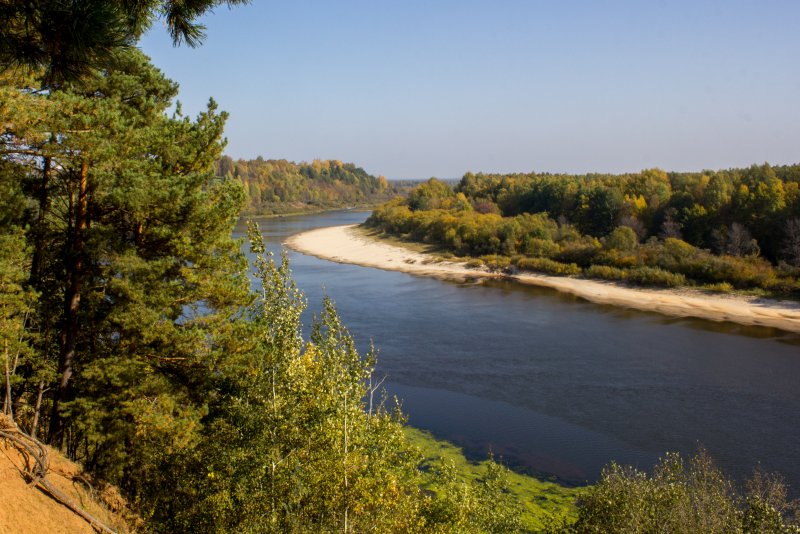 Боровиково Кострома река