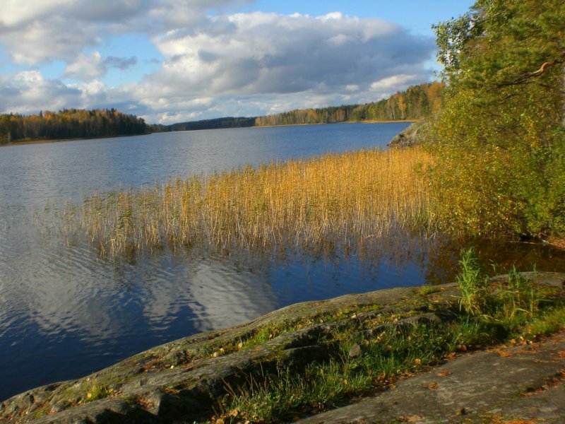 Остров в Ленинградской области Вуокса