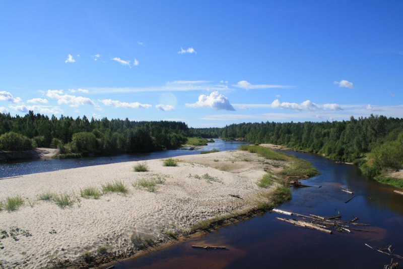 Река Керженец Нижегородская область фото