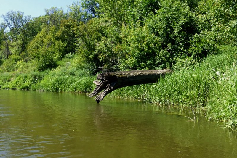 Река ворона в Уварово