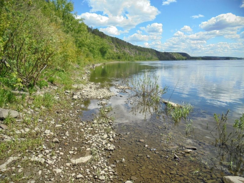 Река Томь Кемеровская