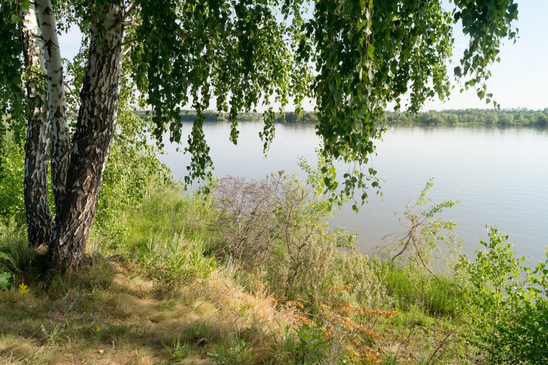 Река Омь в Калачинске