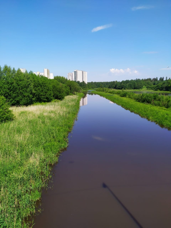 Красногвардейский район река Охта
