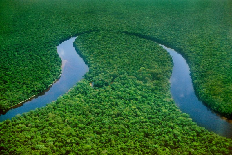 Конго самая полноводная река Африки