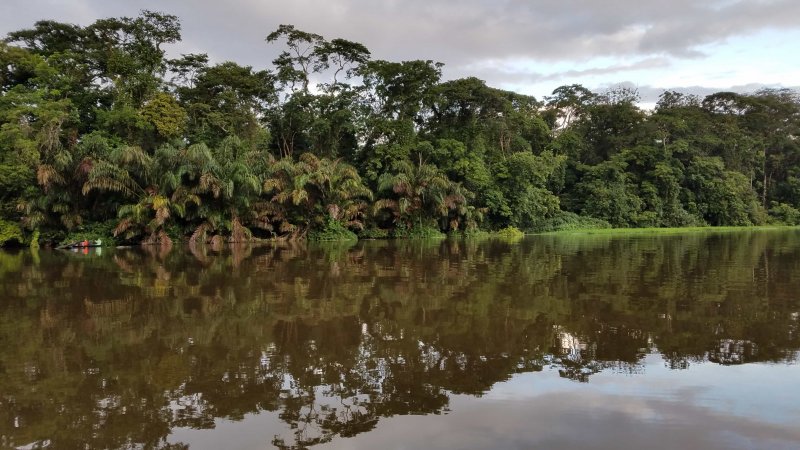 Тропические леса реки Амазонка