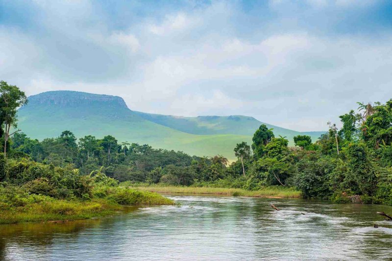 Конго Заир река