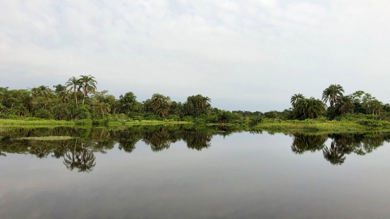 Катанга Конго природа