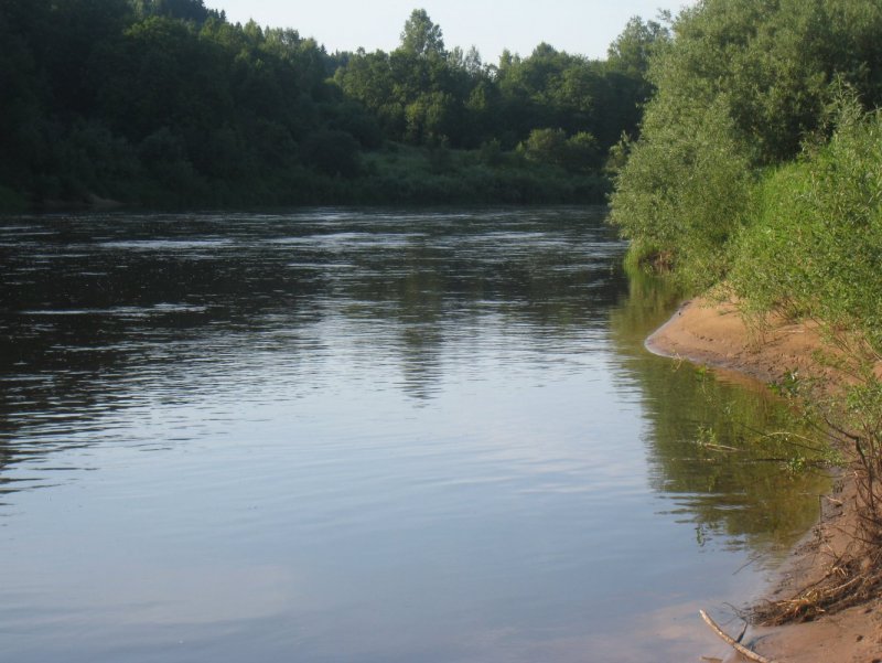 Река Мста Новгородский район