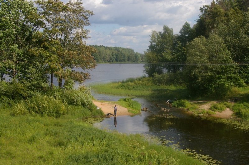 Река Быстрица Лужский район
