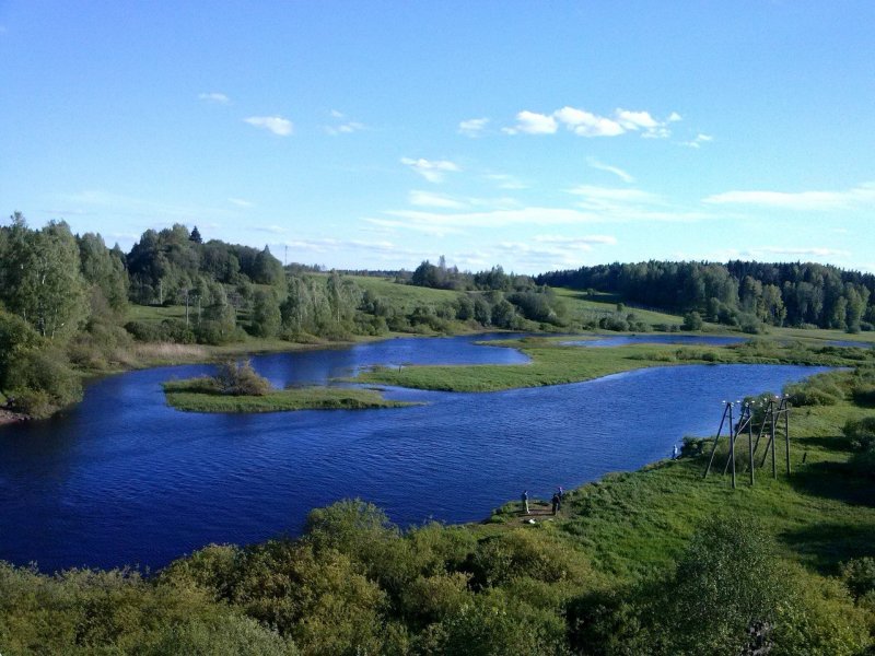 Природа Лужского района Ленинградской области