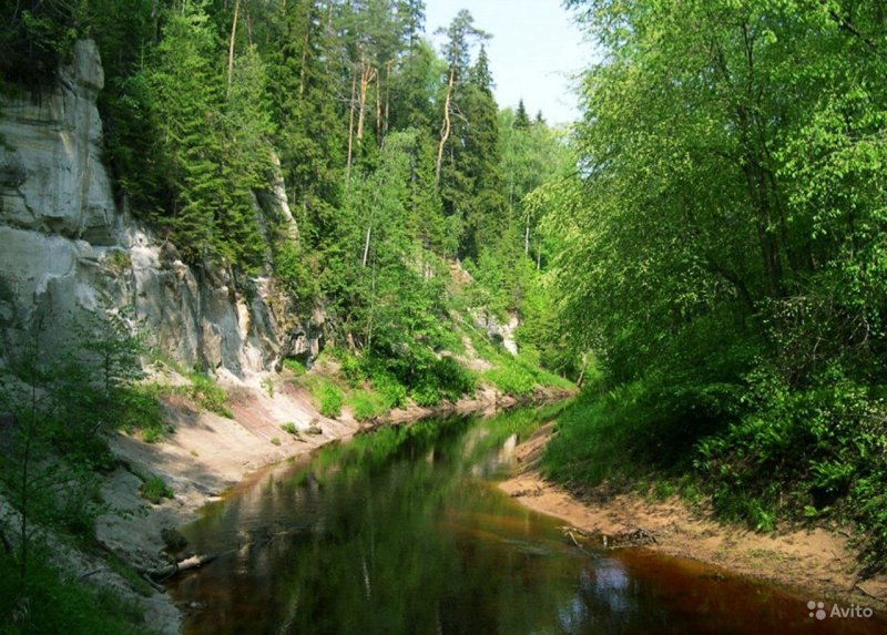 Река ящера Ленинградская область