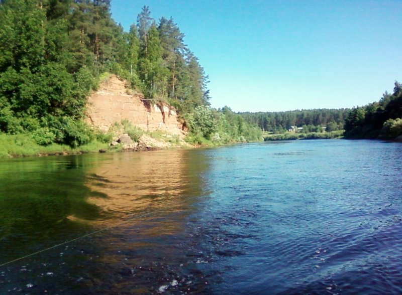 Река Луга Лужский район