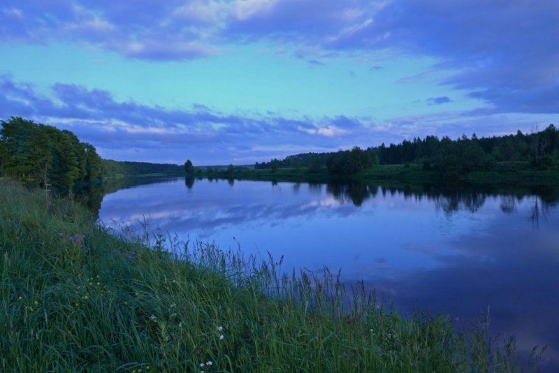 Река Луга Ленинградской области природа обои