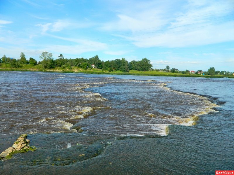 Река Луга Кингисепп