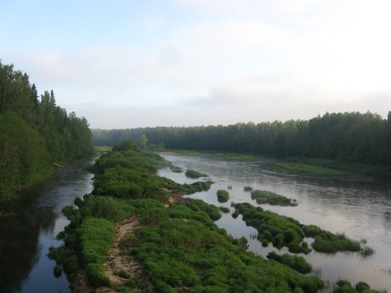 Устье реки Луга