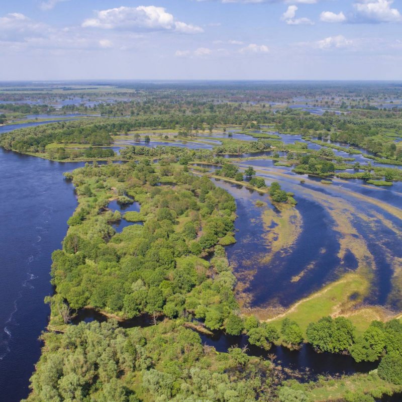 Река Припять в Днепр