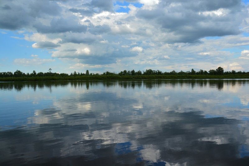 Гомельская область река Припять