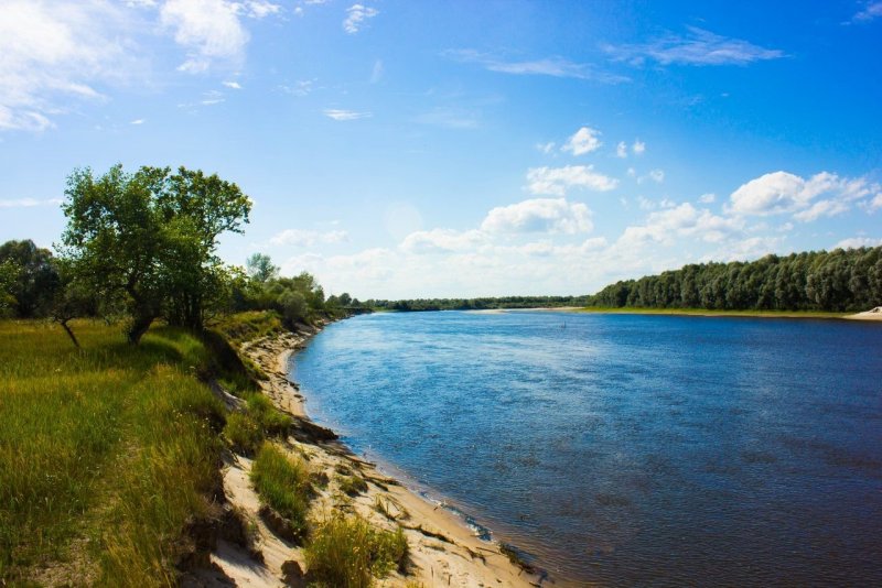 Гомельская область река Припять