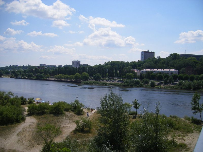 Река Припять Мозырь