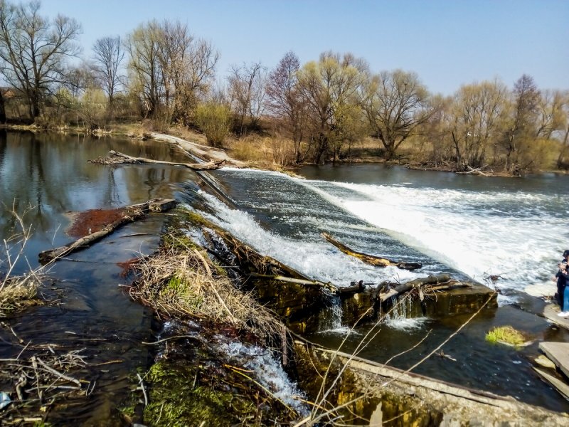Река осетр Московский область серебряные пруды